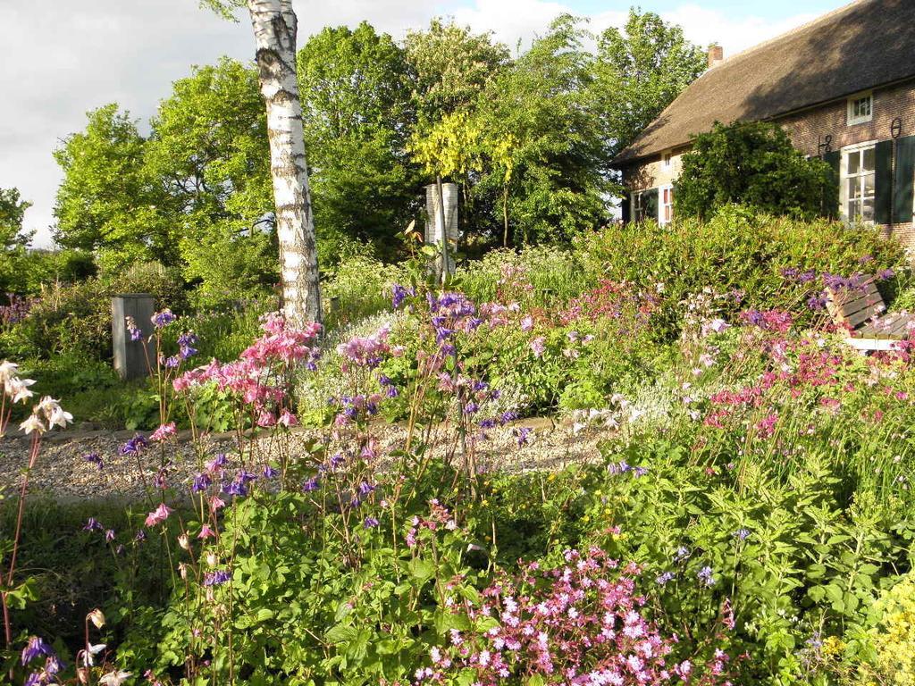 Bed & Breakfast Hofstede Het Klaphek Randwijk Oda fotoğraf